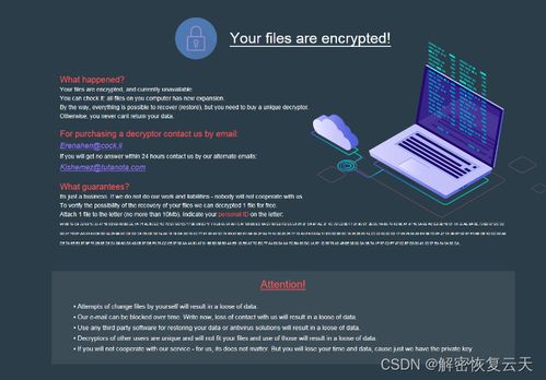 遭遇encrypted勒索病毒 認識威脅與應(yīng)對策略